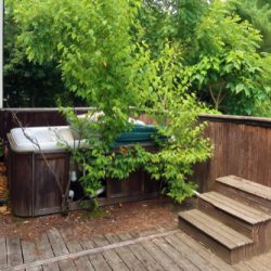 Neglected,Hot,Tub,On,The,Overgrown,Deck,Of,An,Abandoned